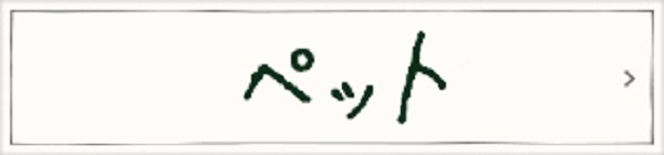 ウェディングフォト